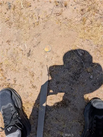 survey marker near southeast corner of lot
