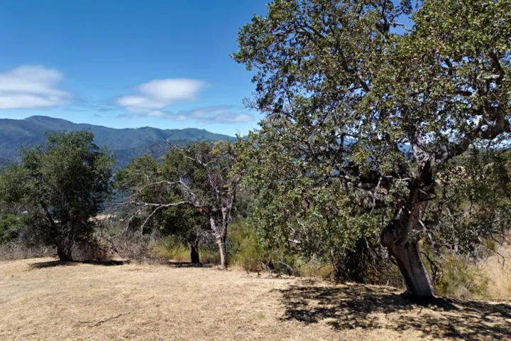 40 Asoleado Place, Carmel Valley, California 93924