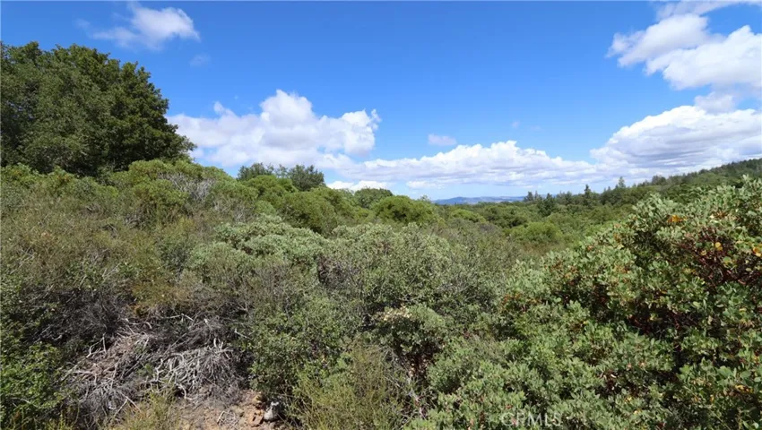 9176 Diamond Dust, Kelseyville, California 95451
