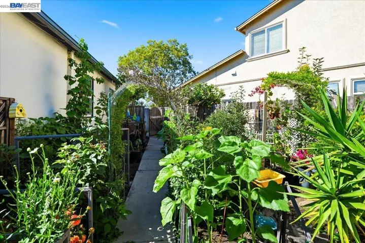 4231 Somerset Ave, Castro Valley, California 94546