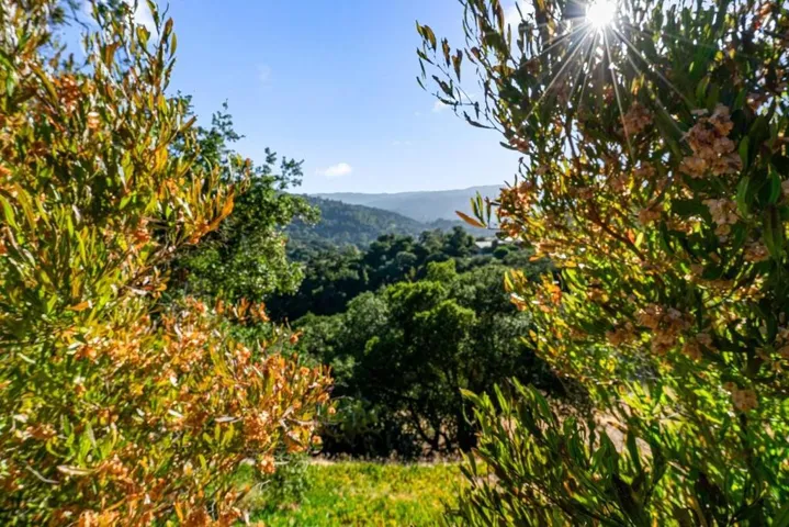 15333 Kennedy Road, Los Gatos, California 95032
