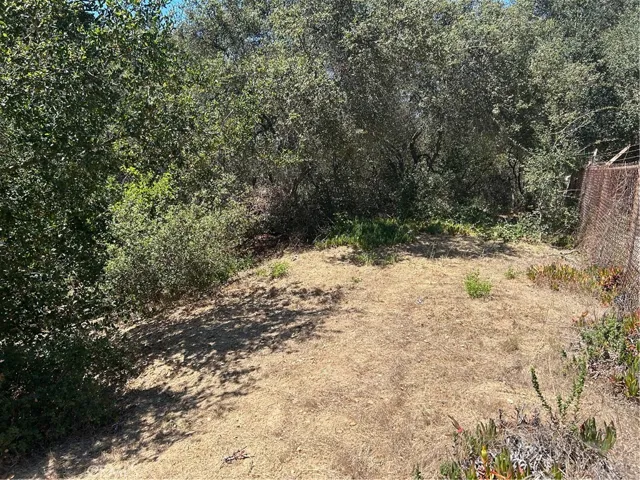 2451 Nalin Dr, Los Angeles, California 90077