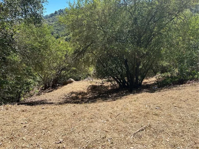2451 Nalin Dr, Los Angeles, California 90077