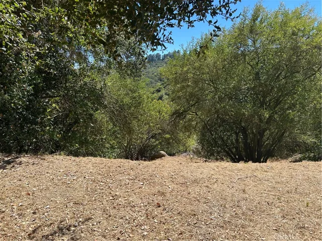 2451 Nalin Dr, Los Angeles, California 90077