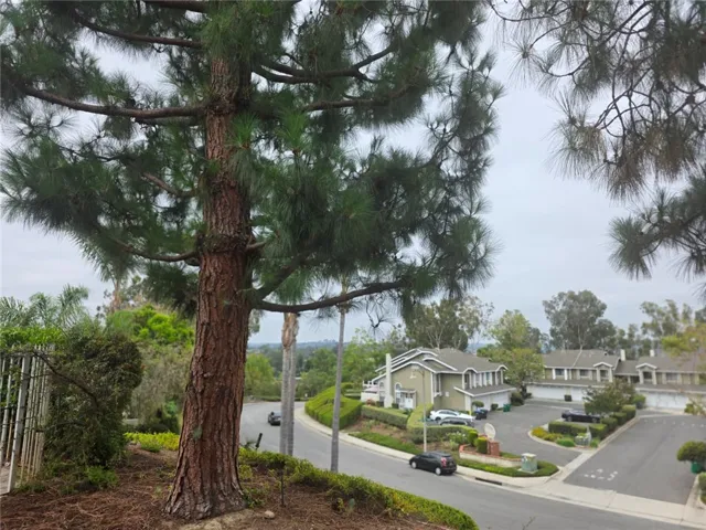 23395 La Crescenta A, Mission Viejo, California 92691
