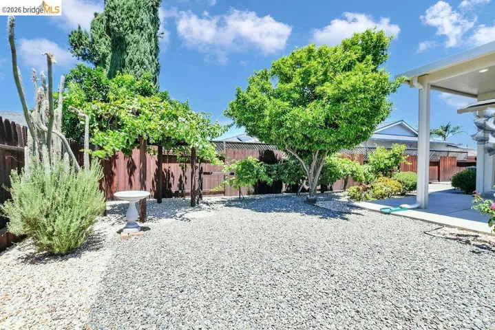 Backyard featuring a gravel ground cover, a covered patio area, and mature trees