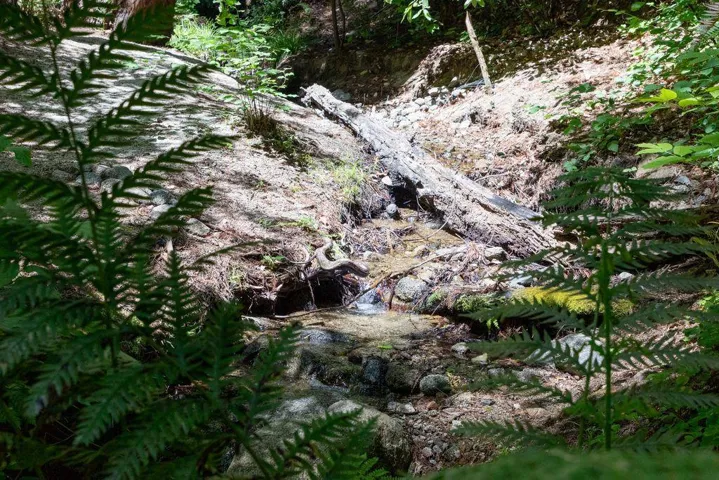 , Boulder Creek, California 95006