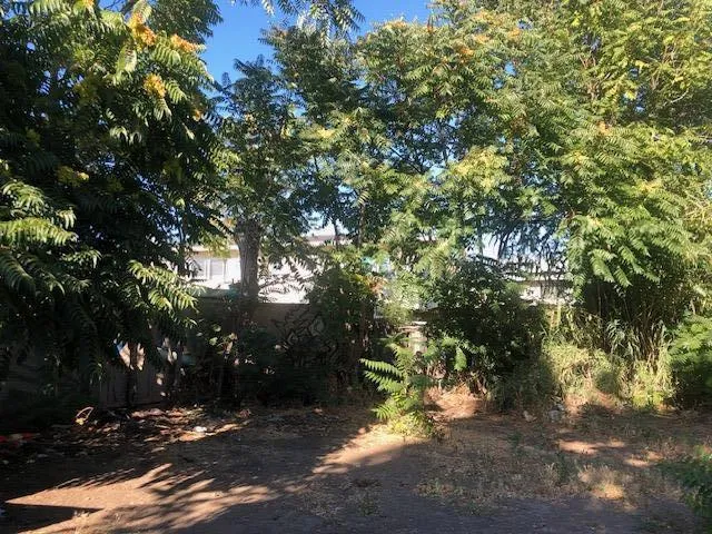1018 S Almaden Avenue, San Jose, California 95110 — photo 4