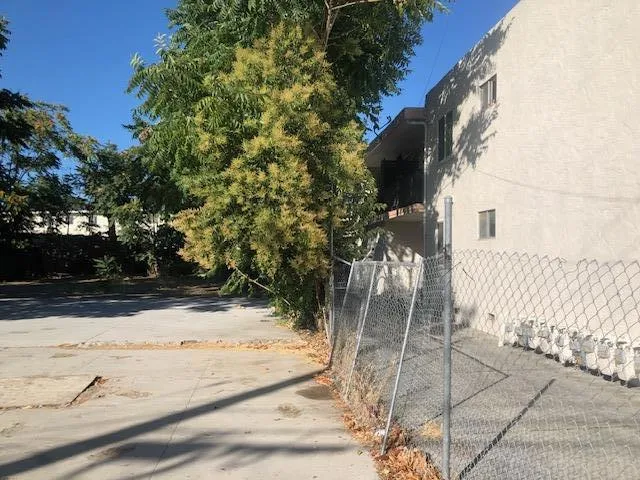 1018 S Almaden Avenue, San Jose, California 95110 — photo 5
