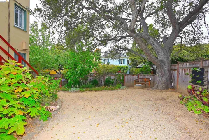 Backyard- Lush landscape