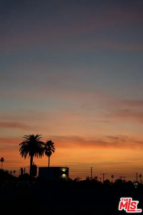 1076 Palms at Sunset