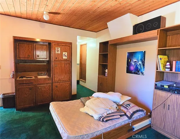 Sink, Stove, Murphy Bed in apartment