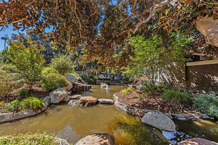 Water Features throughout the community