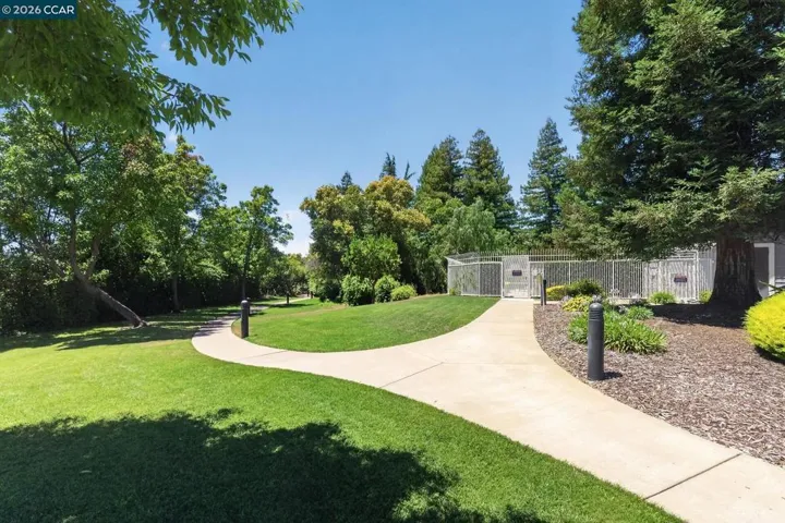 Green Space/Path