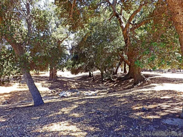 1122 Tierra Del Sol, Boulevard, California 91905