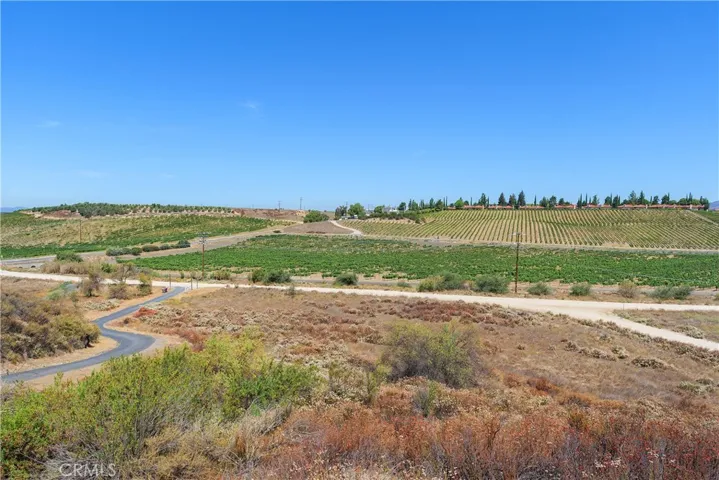 Breathtaking View of the vineyards and winery from the barn deck at the loft. Incredibly located behind South Coast Winery.