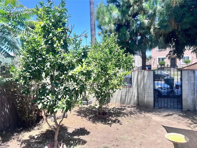 314 W 66th, Los Angeles, California 90003