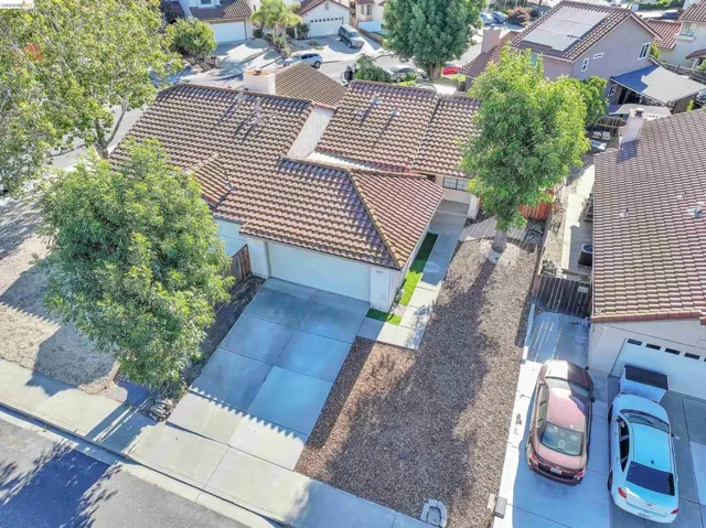 Tile roof property with an attached garage, concrete driveway, and mature landscaping