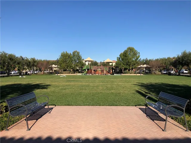 Central park area