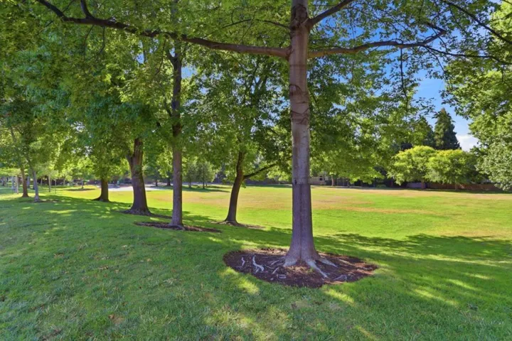 560 Tawny Drive, Pleasanton, California 94566