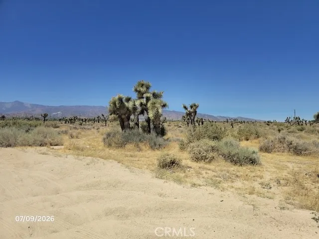 0 Daisy Road, Phelan, California 92371
