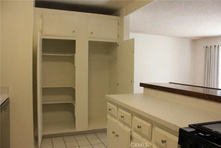 Pantry, broom closet and lots of counter space