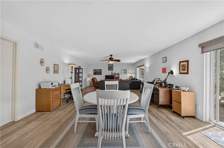 Lower level living room