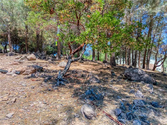 10266 Hok Has Ha, Kelseyville, California 95451