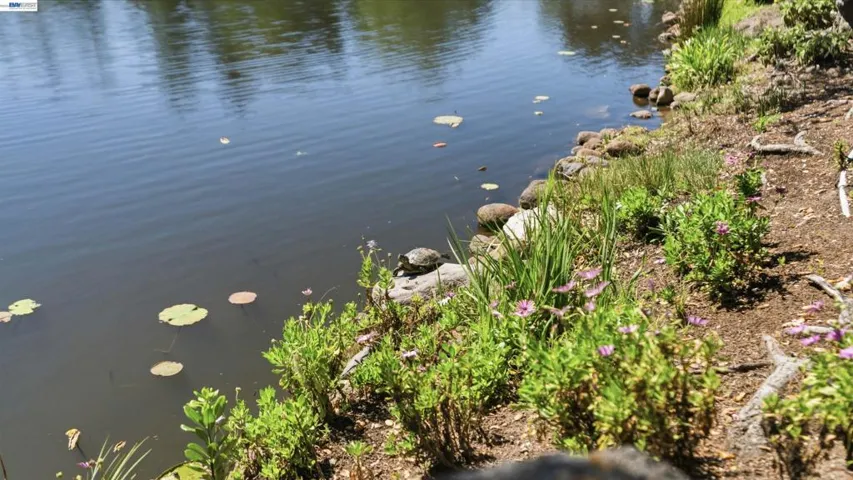 552 Bean Creek Rd, Scotts Valley, California 95066-3328