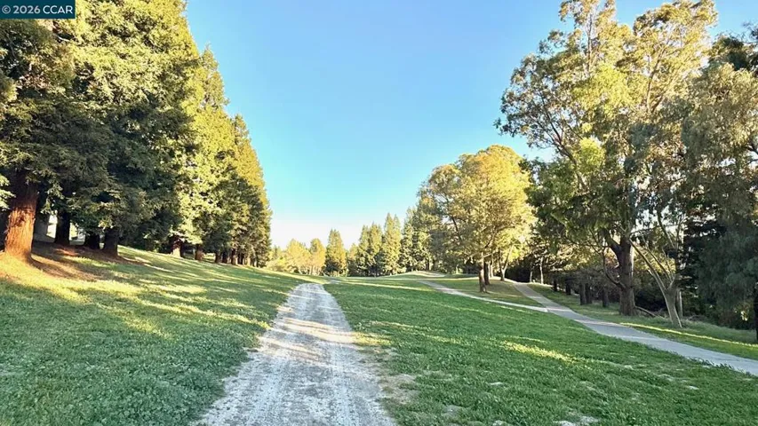 ON THE 12TH FAIRWAY