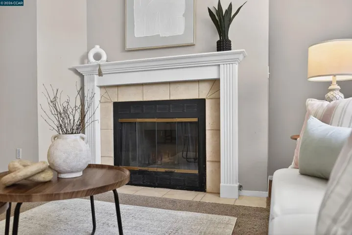 REAL FIREPLACE
