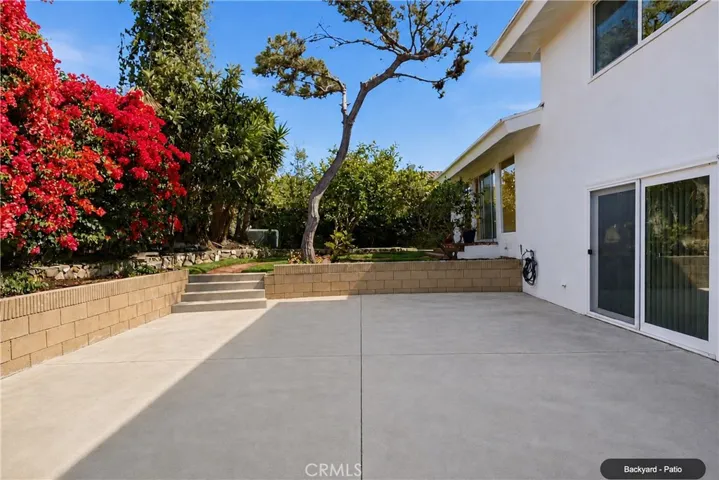 Backyard - Patio
