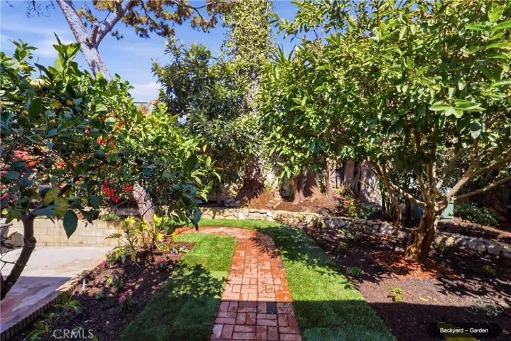 Backyard - Garden