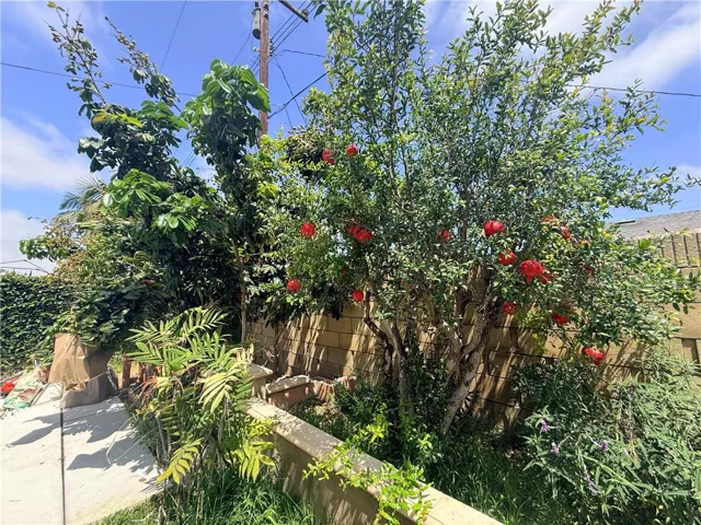 11335 Carob, Fountain Valley, California 92708