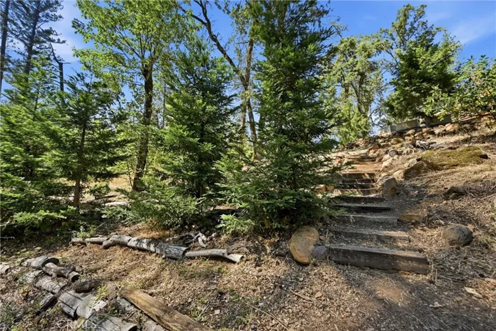 Steps Down to spring and Fir tree Grove