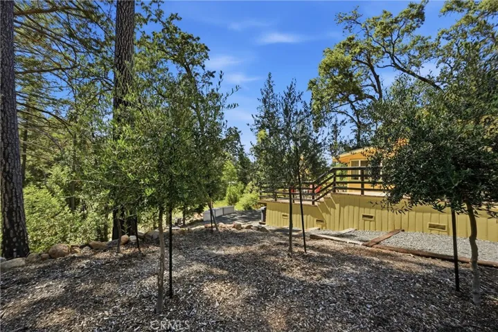 Back area of cabin