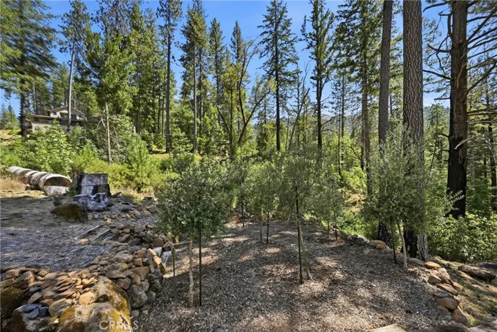 Boutique Olive Grove