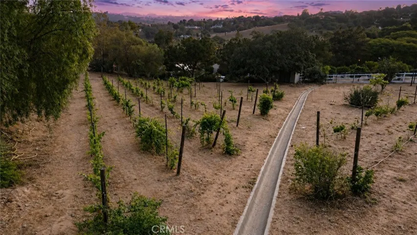 3807 Wendi Court, Fallbrook, California 92028
