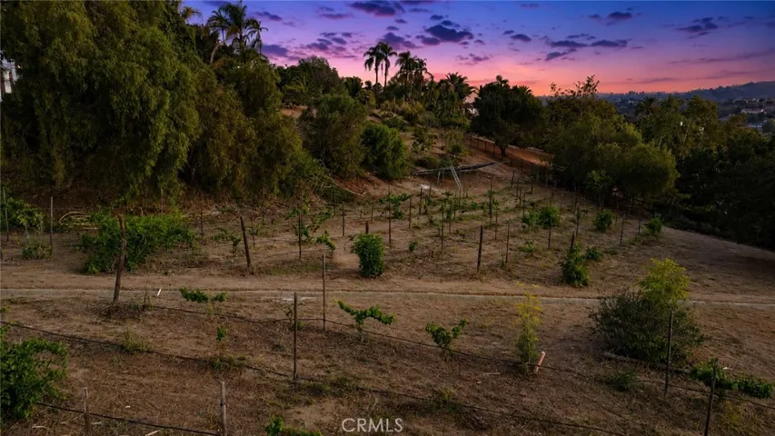 3807 Wendi Court, Fallbrook, California 92028