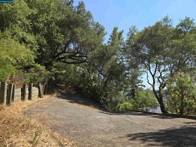 100 Black Log Rd, Kentfield, California 94904 — photo 4