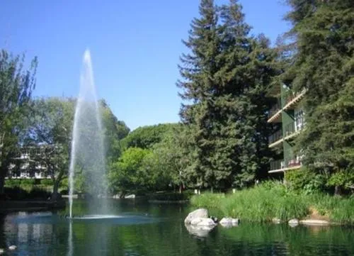 821 N Humboldt Street 301, San Mateo, California 94401
