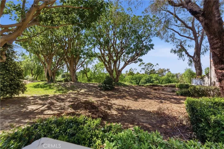 29121 Via Cerrito, Laguna Niguel, California 92677