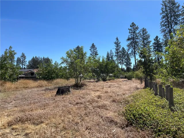 1387 Wagstaff Road, Paradise, California 95969
