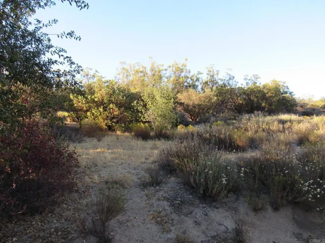 153.21 Acres Old 80 And Hwy 94, Boulevard, California 91905