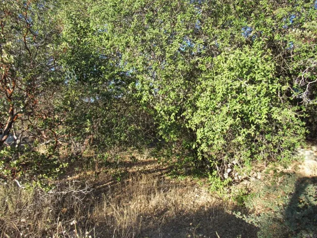 153.21 Acres Old 80 And Hwy 94, Boulevard, California 91905