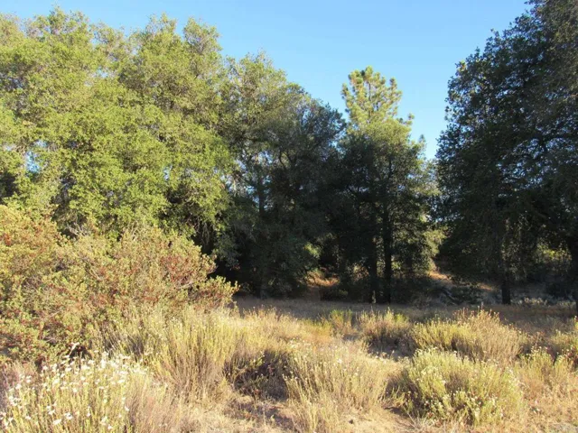 153.21 Acres Old 80 And Hwy 94, Boulevard, California 91905