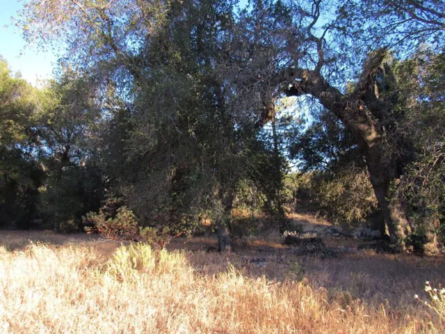 153.21 Acres Old 80 And Hwy 94, Boulevard, California 91905