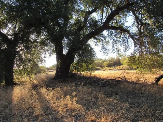 153.21 Acres Old 80 And Hwy 94, Boulevard, California 91905