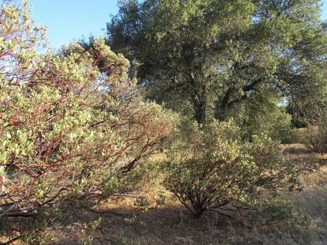 153.21 Acres Old 80 And Hwy 94, Boulevard, California 91905