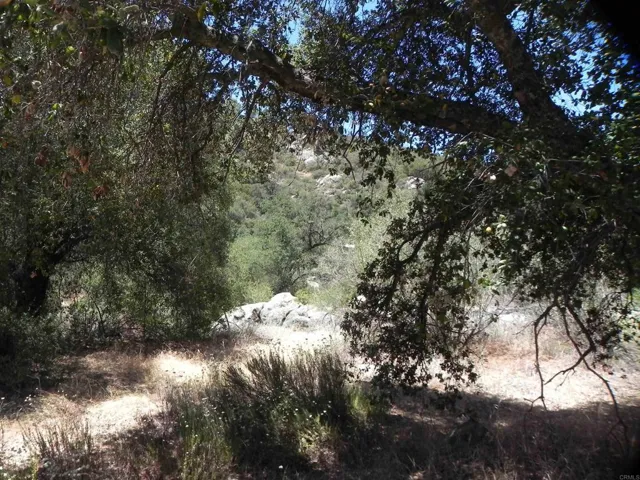 0 Descanso Trail, Descanso, California 91916